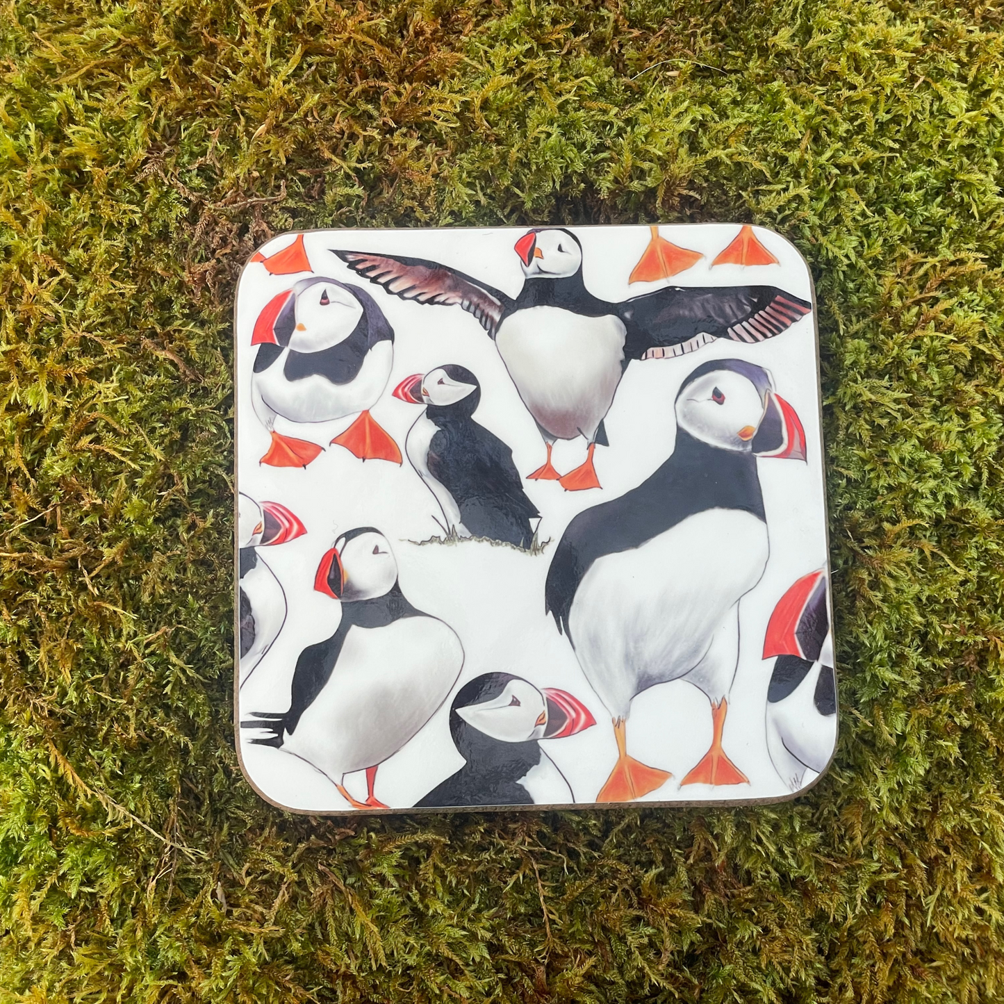 Puffins of Staffa Coaster